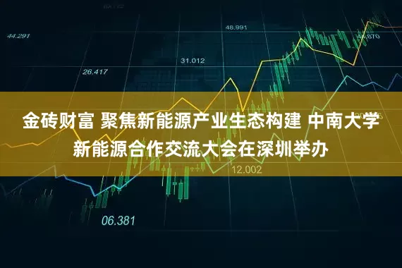 金砖财富 聚焦新能源产业生态构建 中南大学新能源合作交流大会在深圳举办